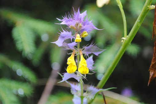 家长课堂:智慧父母五招打造独立孩子