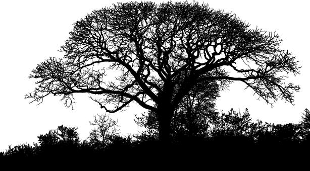 孩子在学校不敢和老师说话怎么办