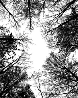 提醒:2010年高考特长生提前测试 考生切勿错过