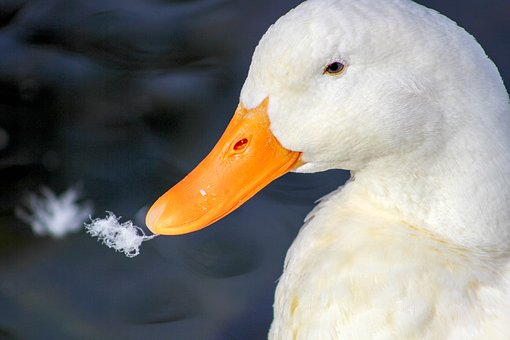 ĶʹҪ