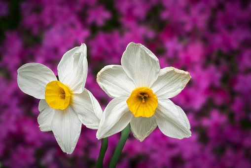 一位父亲给女儿的36条建议受网友热捧