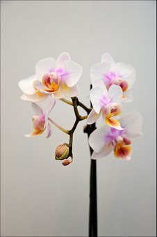 二年级孩子在学校不写作业怎么办