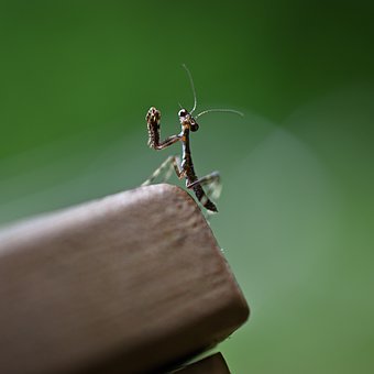 怎样培养孩子的生活自理能力