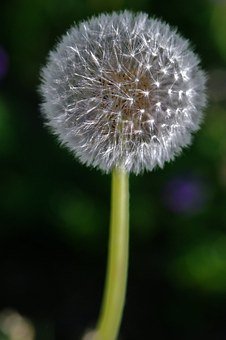 δ2011걱廪⣿