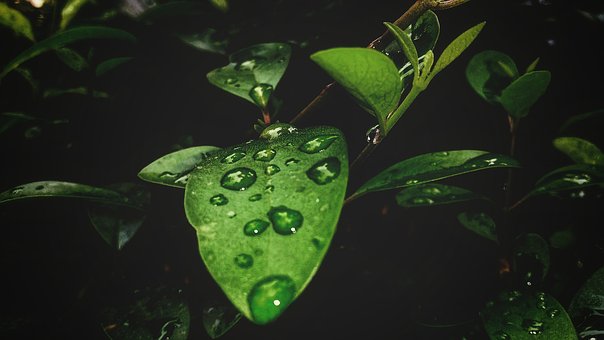 УƻԼ31 9.4%