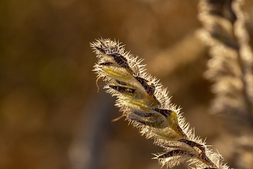 做一个优秀的大学生家教,需要注意哪些事项?