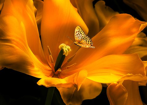 家教在当下为何能够长盛不衰,需求的土壤持续不断?