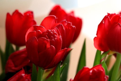 从家长的视角谈谈请家教,钱要花在刀刃上