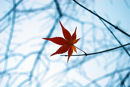 如何与青春期孩子沟通和交流