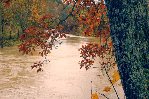 七八岁的女孩不听话怎么办