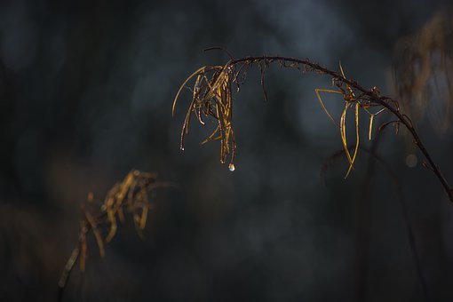 高中早恋怎么样教育