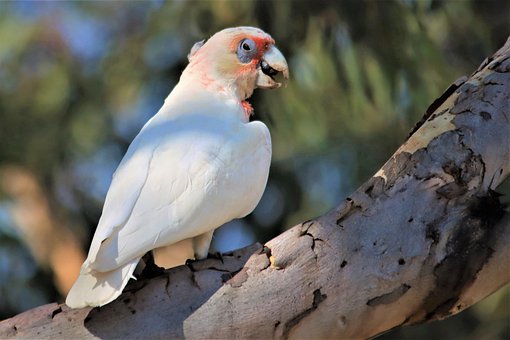 老师针对学生厌学怎么办