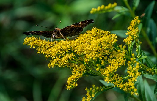 如何在暑假提高初中数学