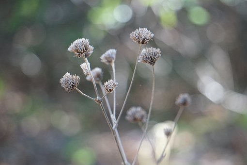 英语四六级冲刺:写作高分七大技巧