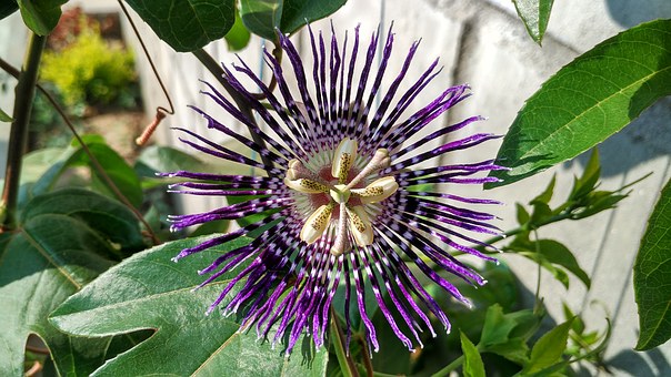 家长必读:九招改善亲子关系