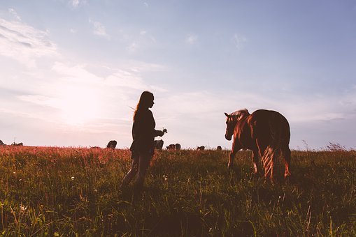 孩子沉迷游戏：如何解决游戏装备购买的问题