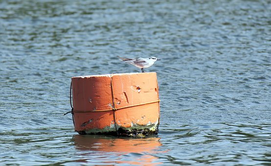"心罚"会摧毁掉孩子的自尊