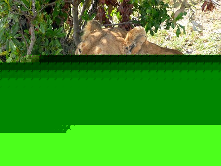 ��ѧ��������ѧϰ�ƻ���ϵͳ������ѧ�����ĺ���Ҫ��