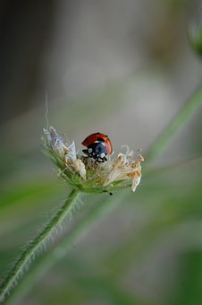 教育宝宝,从细节做起