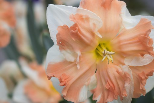 小学语文课堂,别让“热闹”代替了学习