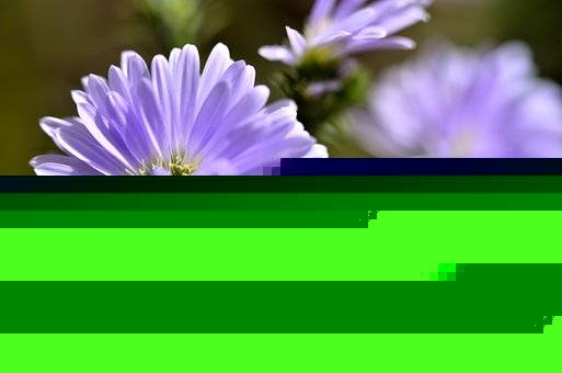 СΪʲôϲ˵