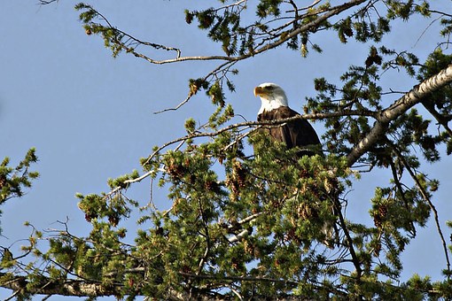 孩子背熟这篇口诀,作文成绩稳步提升,关键在于这三步走
