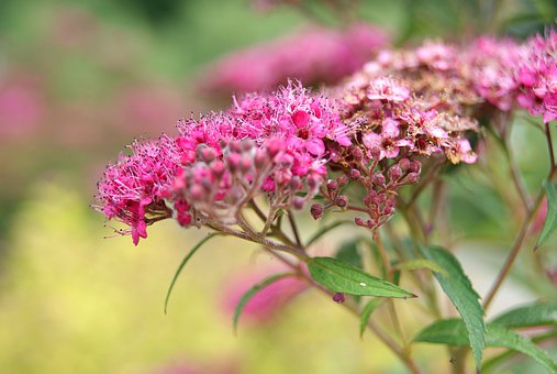 浅谈在当下课外辅导体系中家教都扮演了哪些重要的角色?