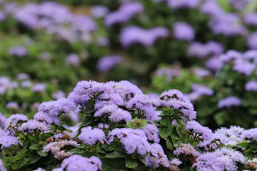 һ꼶ıʻţֻǿص㣬Ǻ֮ĵһ