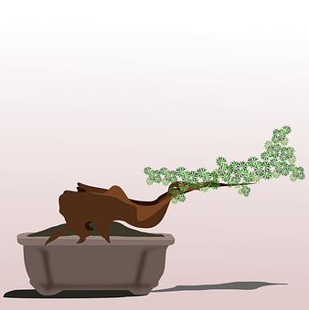 17岁男孩脾气暴躁易怒怎么办