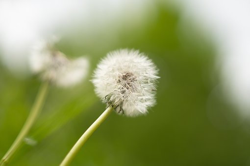 最好的教养，是尊重我们的爸爸妈妈
