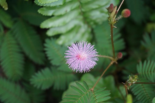 һźټƻĳɳ룺úӵÿһ춼