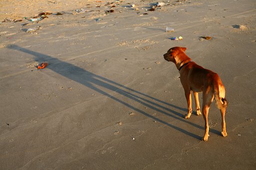 高一物理怎么学?从s-t图和v-t图开始理清思路
