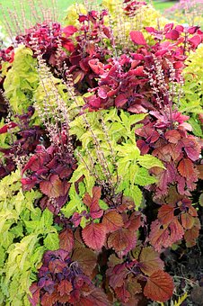 �Ծ����¶ȣ���������ģ�һλ��ѧ��ʦ�������ּ�