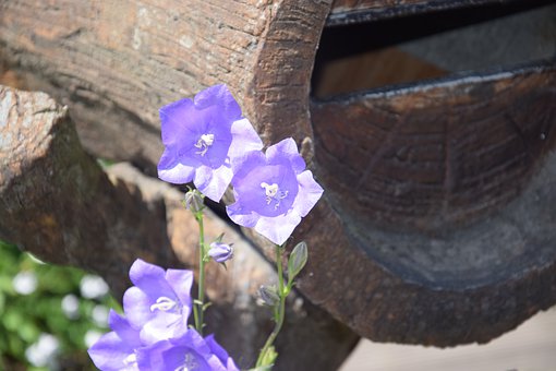 害了孩子的不是手机本身,而是家长太懒,陪伴是需要用心的