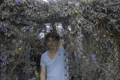 ҳضӵרע(ͼ)