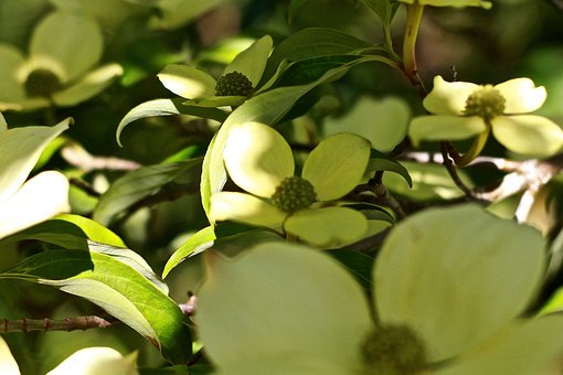 级爸爸妈妈1月需关注六项