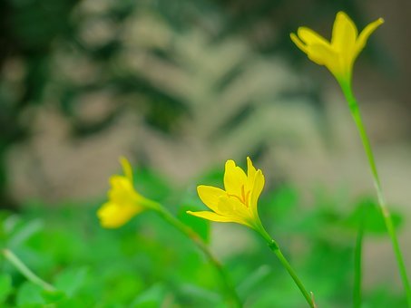 遇到没有上进心的孩子应该怎么办