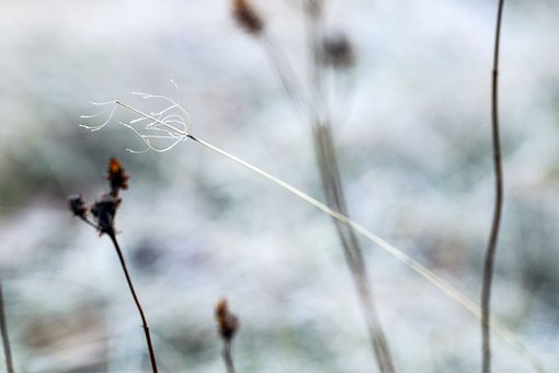 高考考试生考后需关注的6个事情