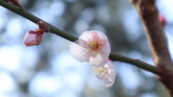 小学语文阅读:从“读过”到“读懂”的实用方法