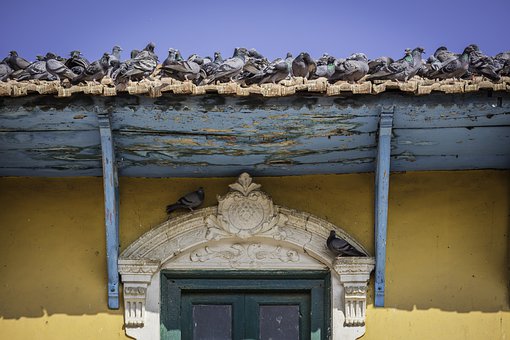 16岁孩子叛逆期怎么管教最合适