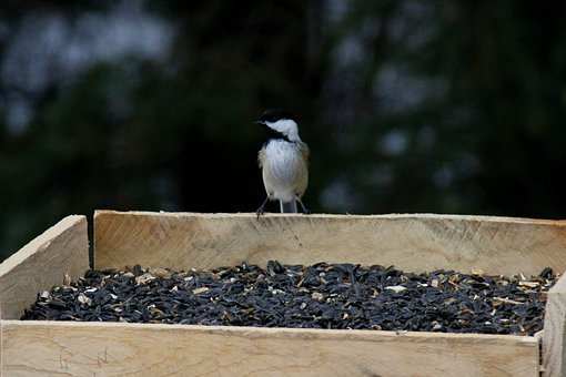 高校出招化解舍友矛盾:学会宽容