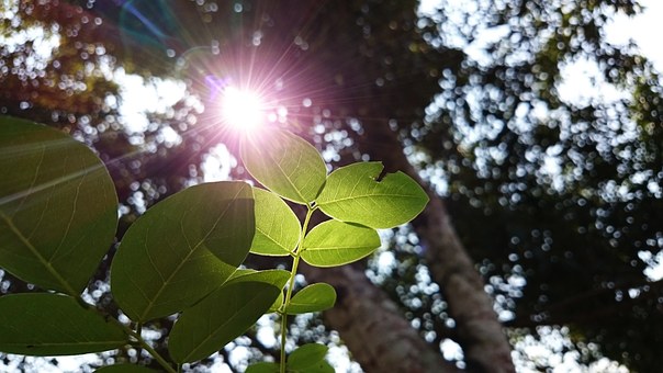 13岁男生父母如何样教育呢