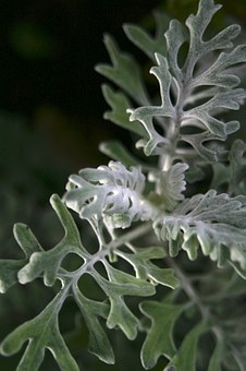 ���������ϴ�������δ����Ӵ�͸����������������ʷ�Ĳ���