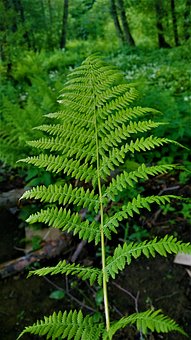 请家教辅导三大注意事项