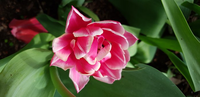 教育的目标:培养成功和有用的人才