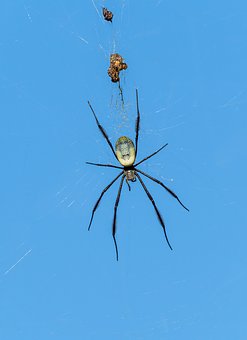 高中数学思维