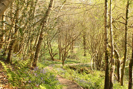 家长课堂:80后父母三大教子误区