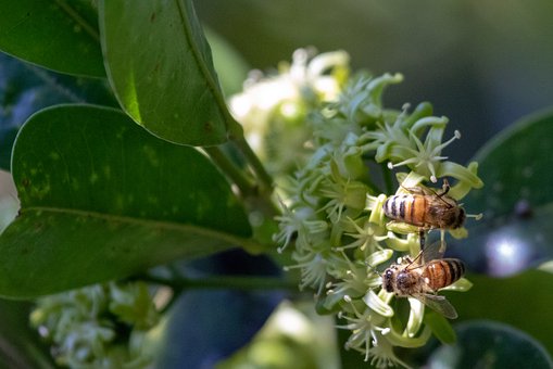 教育的艺术:教师对学生的处罚与保护
