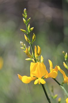 名师谈:高考英语复习技巧