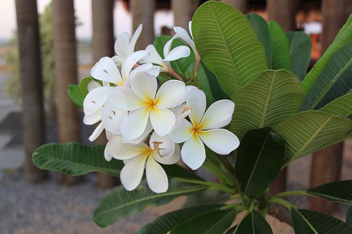 在给孩子请家教辅导中,家长不能当甩手掌柜,扮演什么角色更有助于提高效率?